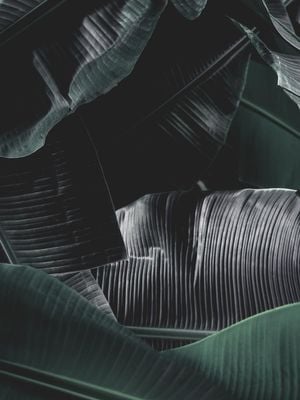 That Is Bananas 30x40