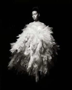 The Dress 40x50
