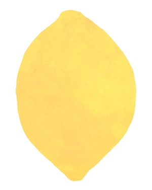 The Lemon 40x50