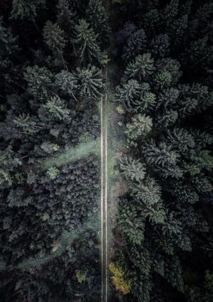 The Road Not Taken 21x30