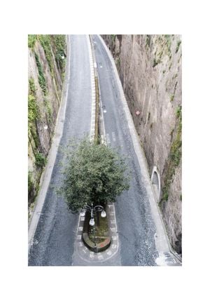 The Turn 70x100