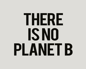 There Is No Planet B 50x40