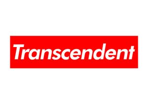 Transcendent 30x21