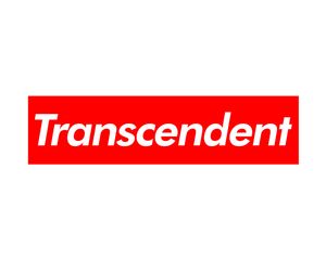 Transcendent 50x40