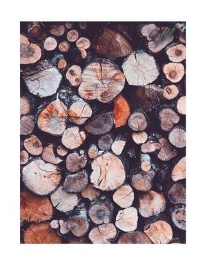 Trees 30x40