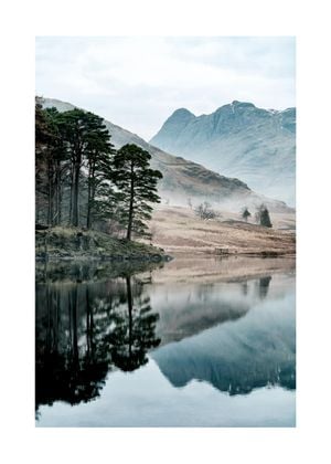 Trees By The Lake