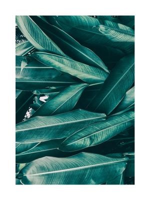 Tropical Leaves 30x40