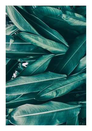 Tropical Leaves 70x100