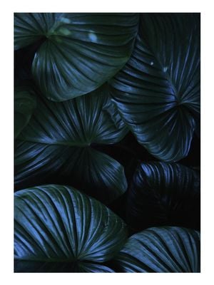 Tropical Night 30x40