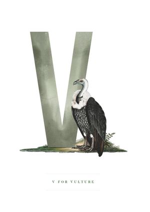 V For Vulture 21x30