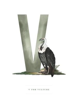 V For Vulture 30x40