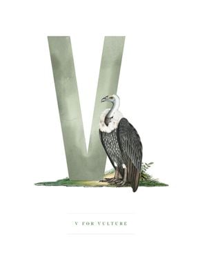 V For Vulture 40x50