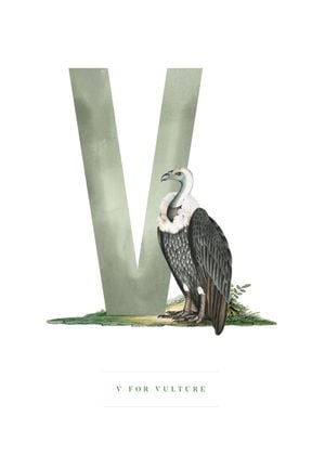 V For Vulture 50x70