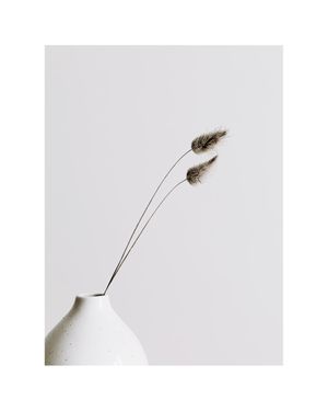 Vase With Dry Grass 40x50