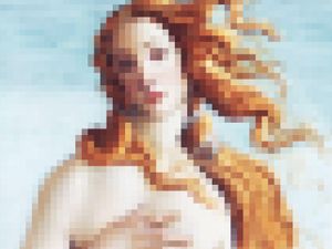 Venus Accending 40x30
