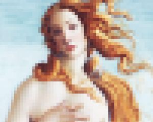 Venus Accending 50x40