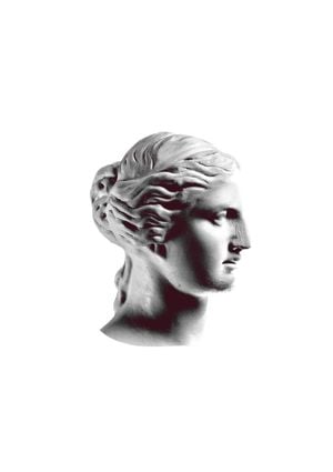 Venus In Profile 21x30
