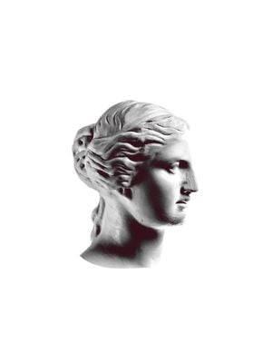 Venus In Profile 30x40