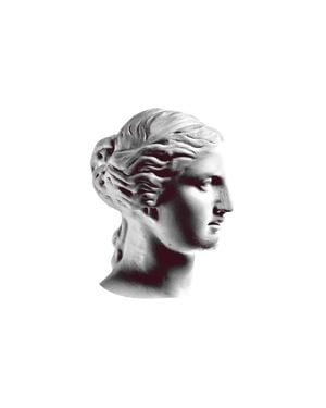 Venus In Profile 40x50