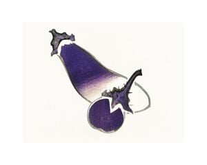 Vintage Aubergine 50x40