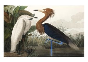Vintage Bird 2