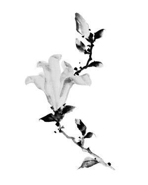 Vintage Calligraphy 40x50