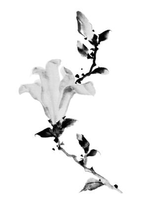 Vintage Calligraphy 70x100