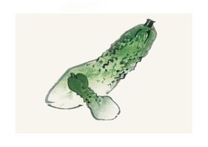 Vintage Cucumber 30x21