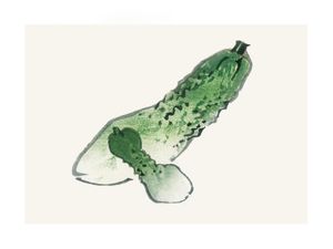 Vintage Cucumber 40x30