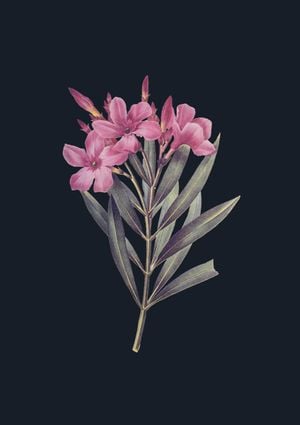 Vintage Flower In Dark 2 21x30