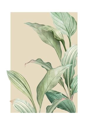 Vintage Palm Leaves 21x30