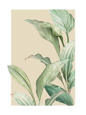 Vintage Palm Leaves 30x40