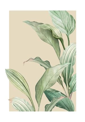 Vintage Palm Leaves 70x100