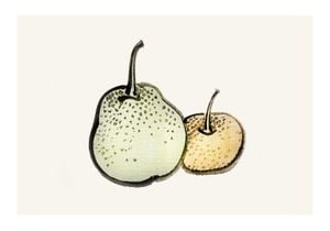 Vintage Pears 100x70
