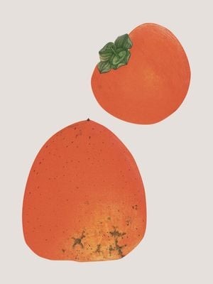 Vintage Persimmon 30x40