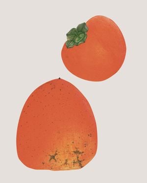 Vintage Persimmon 40x50