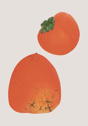 Vintage Persimmon 70x100