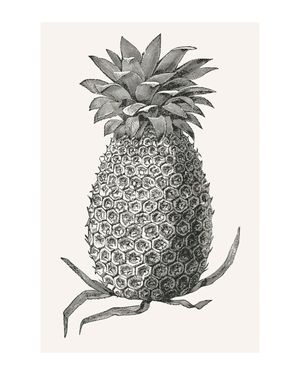 Vintage Pineapple 40x50