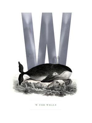 W For Whale 30x40