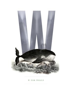 W For Whale 40x50