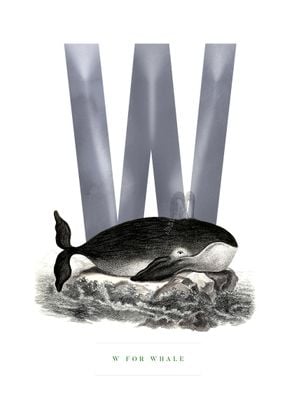 W For Whale 50x70