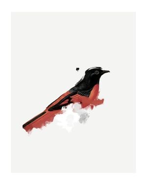 Watercolor Bird 40x50