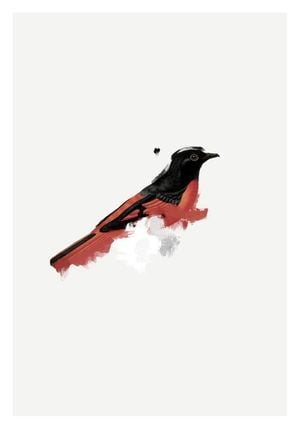 Watercolor Bird 70x100