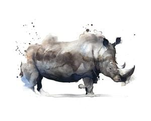 Watercolor Rhino 50x40
