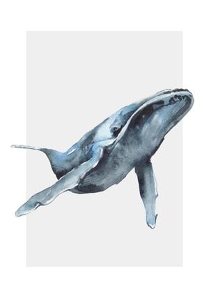 Watercolor Whale 21x30