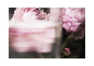 Watermade 5 30x21