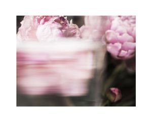 Watermade 5 50x40