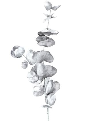 White Eucalyptus In Watercolor 50x70