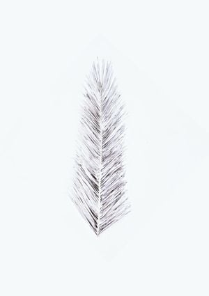 White Palm Leaf 21x30