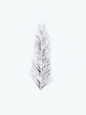 White Palm Leaf 30x40